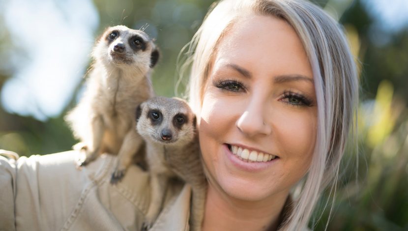 Get behind the scenes for the ultimate Meerkat experience as you feed, play and interact with them