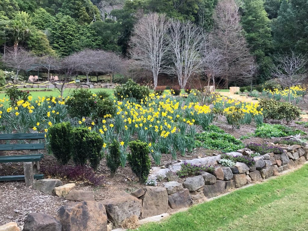 Illawarra Rhododendron and Rainforest Gardens | Destination Wollongong