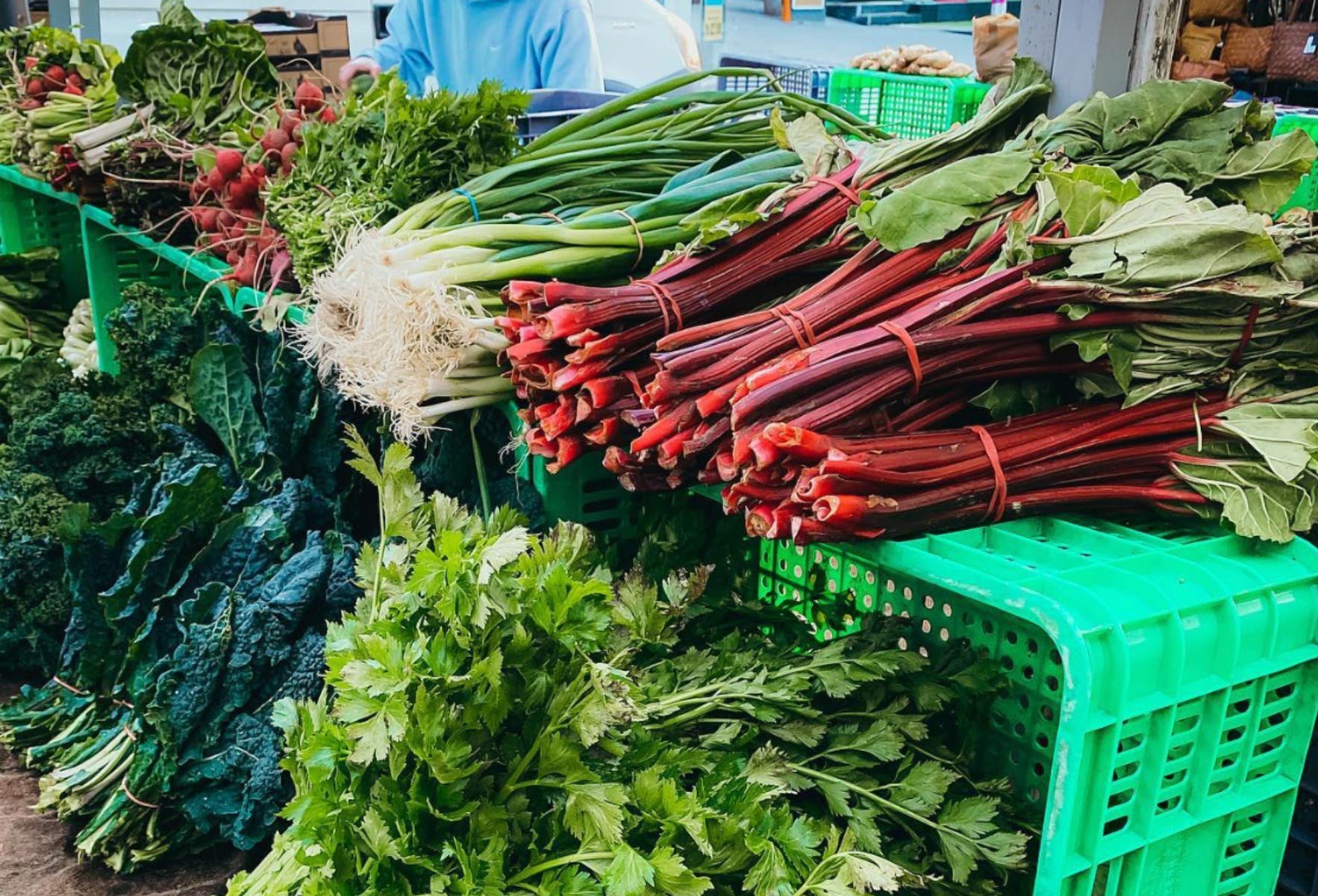 Crown St Friday Markets Destination Wollongong