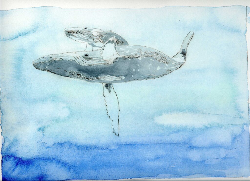 Northern Illawarra Art Trail Destination Wollongong