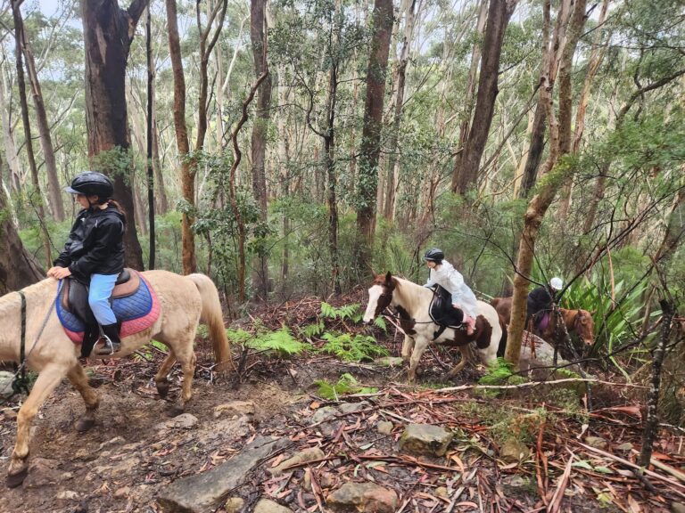 Top Date Ideas In Wollongong Destination Wollongong top-date-ideas-in-wollongong-destination-wollongong